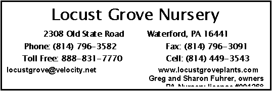 Text Box: Locust Grove Nursery, LLC
2308 Old State Road         Waterford, PA 16441
Phone: (814) 796-3582                   Fax: (814) 796-3091
Toll Free: 888-831-7770                 Cell: (814) 449-3543
locustgrove@velocity.net                              www.locustgroveplants.com
PA Nursery license #001268
